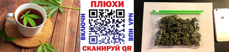 Купить  Гаврилов Посад  Canna-Cookies конопля 