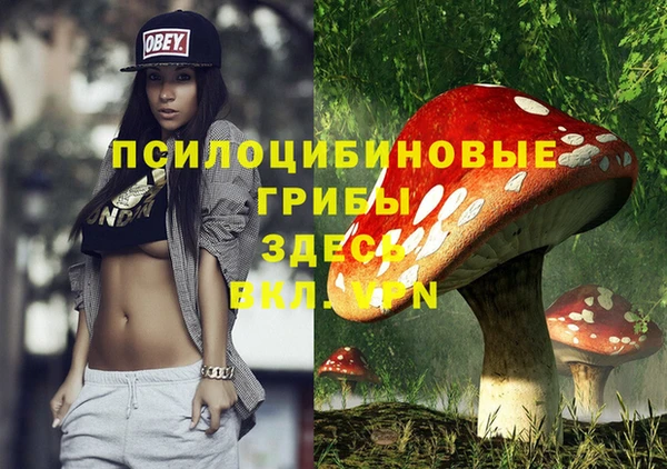 мяу мяу кристалл Верея
